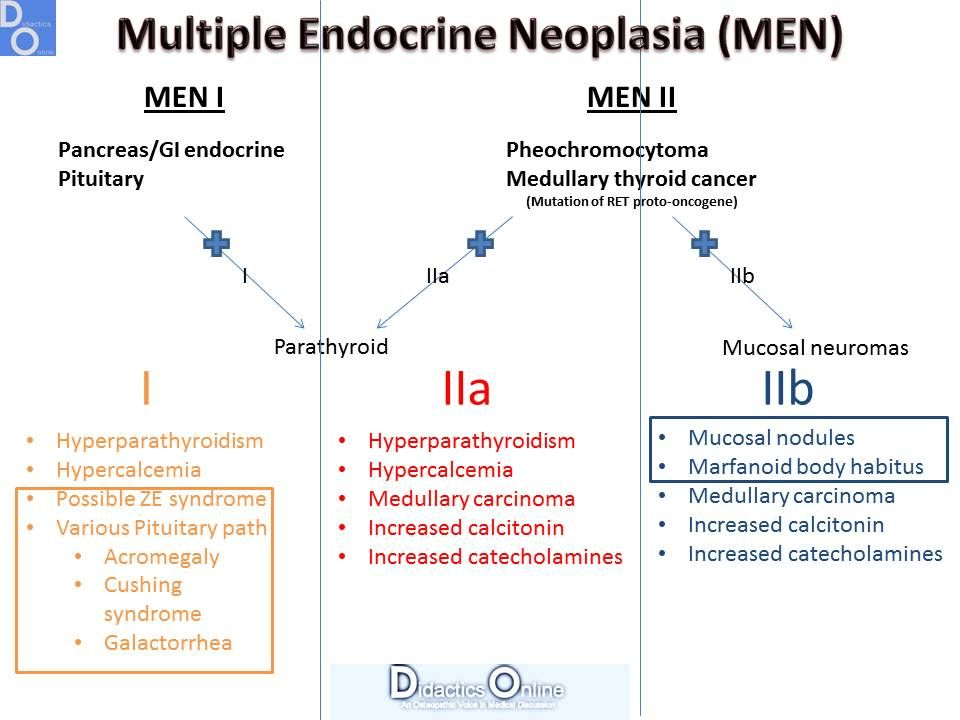 Mnemonic Multiple Endocrine Neoplasia Multiple Endocrine Neoplasia