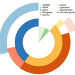 How To Draw Venn Pie agram multi layer Pie Chart In R R bloggers