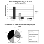 Ielts Writing Task 1 Multiple Charts