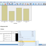SPSS Multiple Response Bar Chart YouTube