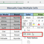 How To Copy Multiple Cells To Another Sheet In Excel 9 Methods