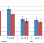 R Ggplot2 Multiple Sub Groups Of A Bar Chart Stack Overflow
